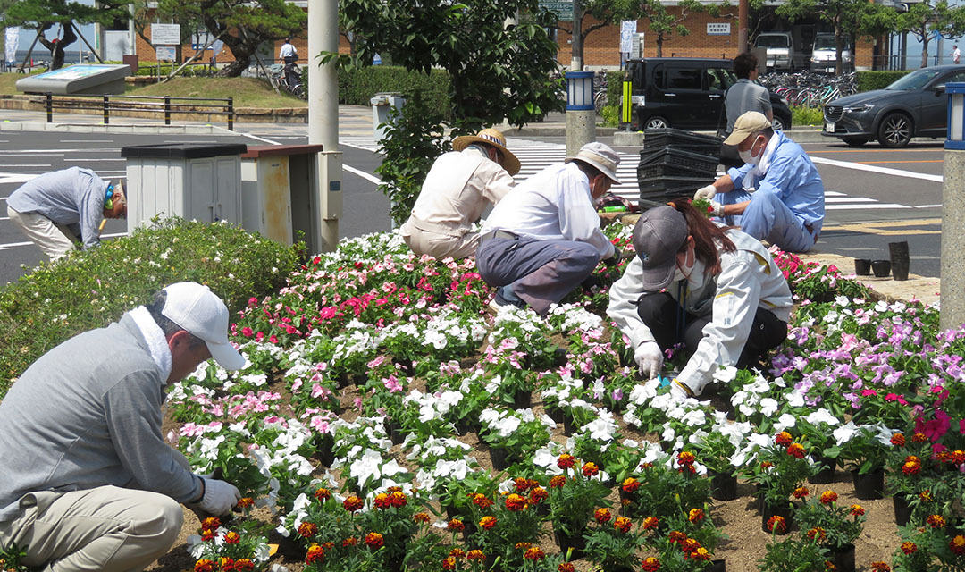 道路環境啓発イベント(花植え)