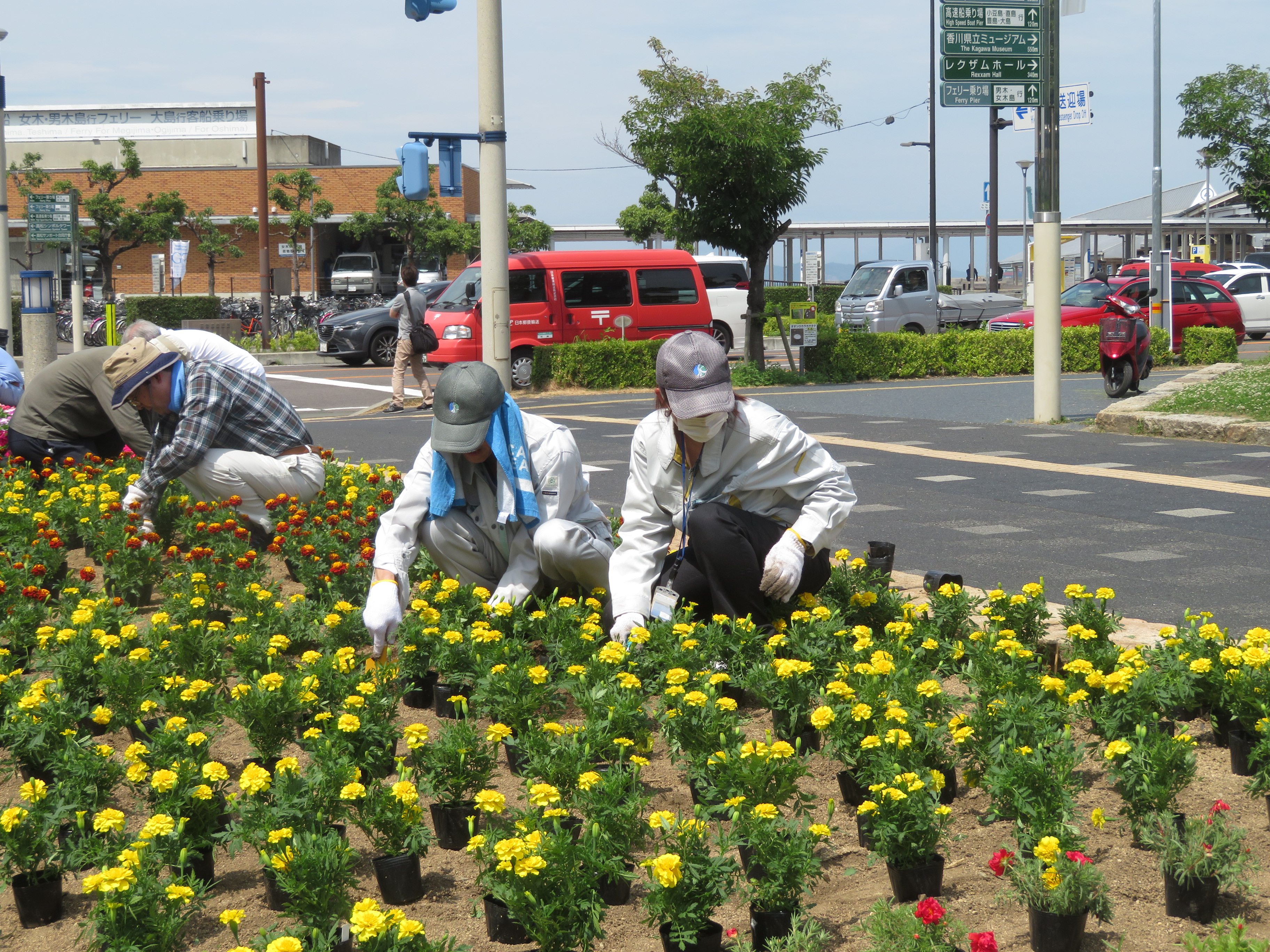 道路環境啓発イベント(花植え)