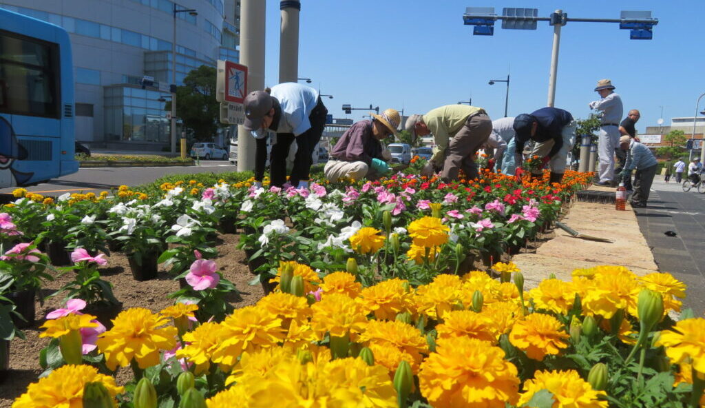 道路環境啓発イベント(花植え)
