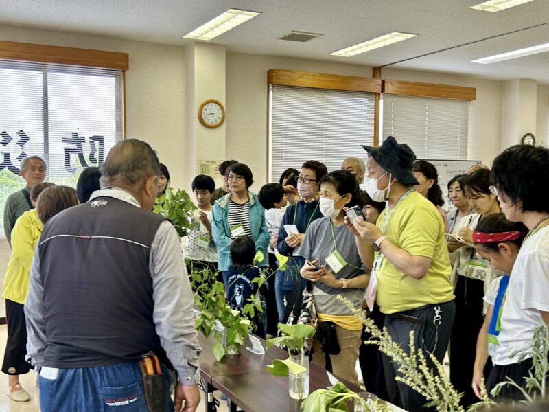 防災植物教室の開催と活動パンフレットの作成(日本防災植物協会)